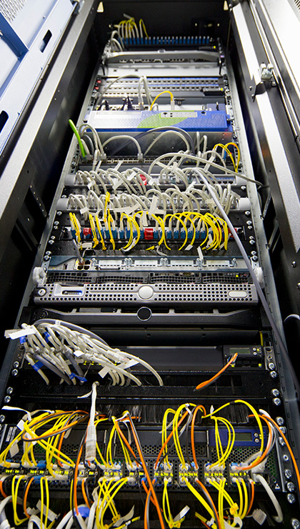 Distribution networks for multi-service access zones